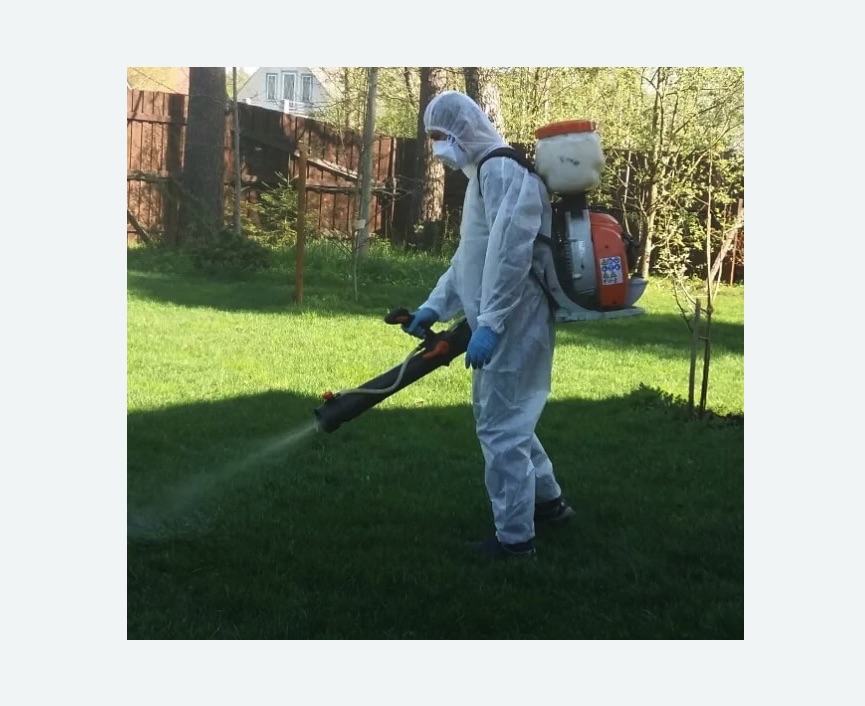 Обработка территории от клещей в Павловске