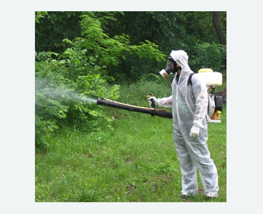 обработка территории от клещей в Павловске