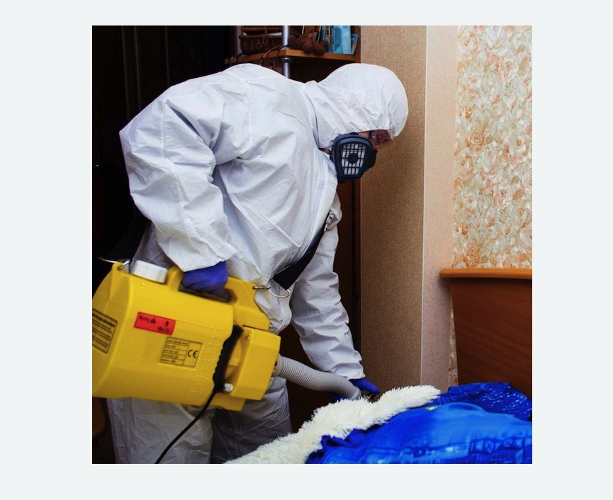 Обработка квартиры от коронавируса в Павловске