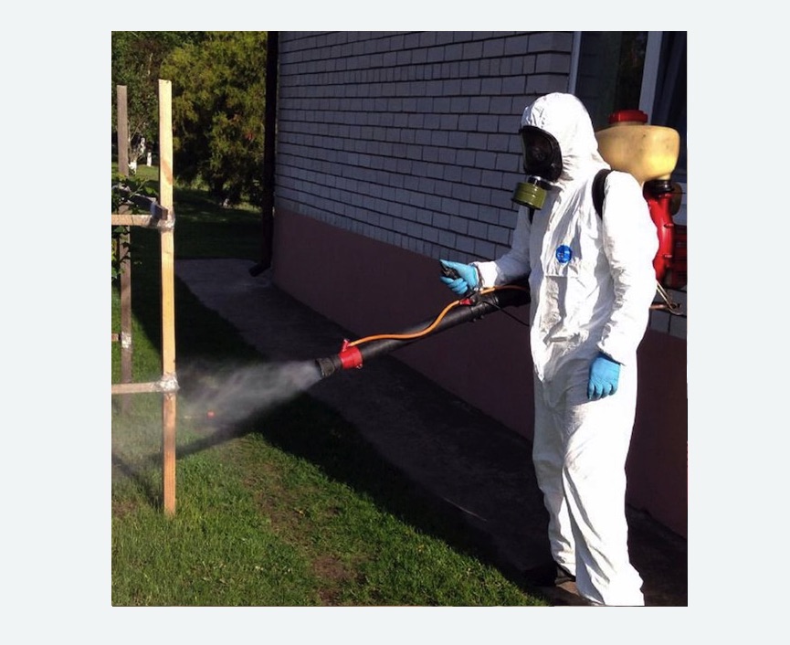 травля клещей на участке в Павловске