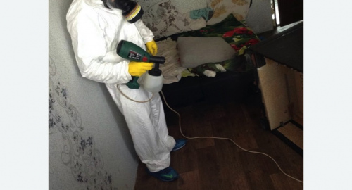 Обработка квартир от насекомых в Павловске