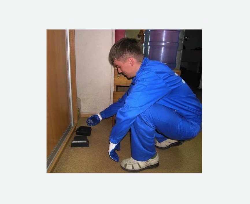 Дератизация крыс в Павловске