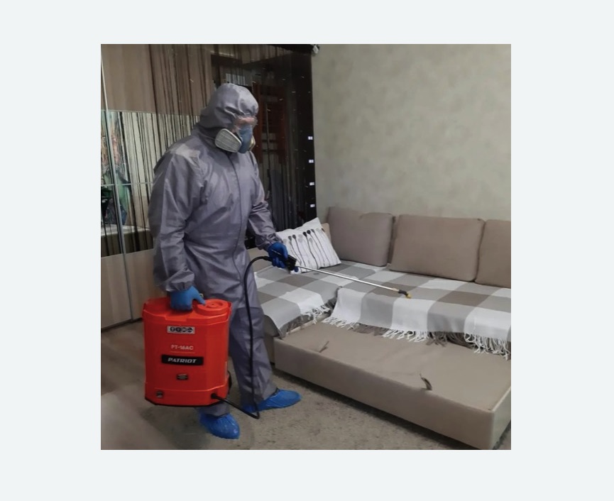 Обработка квартиры от блох в Павловске Обработка квартиры от блох