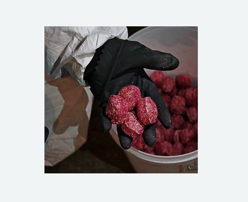 Обработка от крыс в Павловске