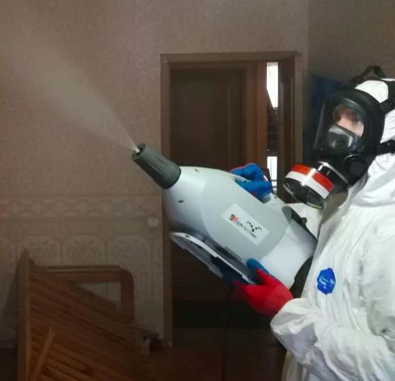 дезинсекция помещения в Павловске