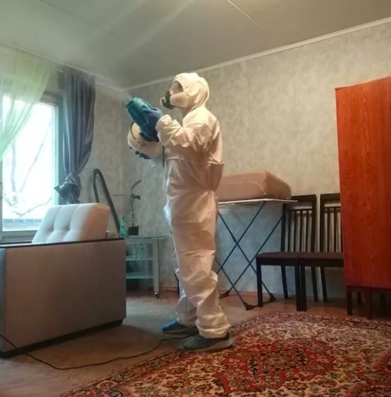 дезинсекция квартиры в Павловске