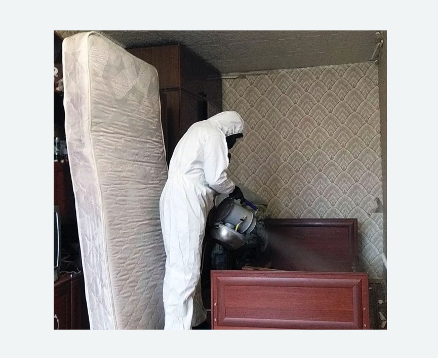 дезинфекция от клопов в Павловске