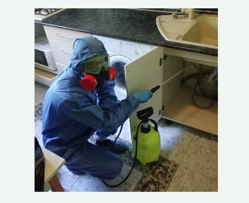 обработка от муравьев в квартире обработка от муравьев в квартире в Павловске