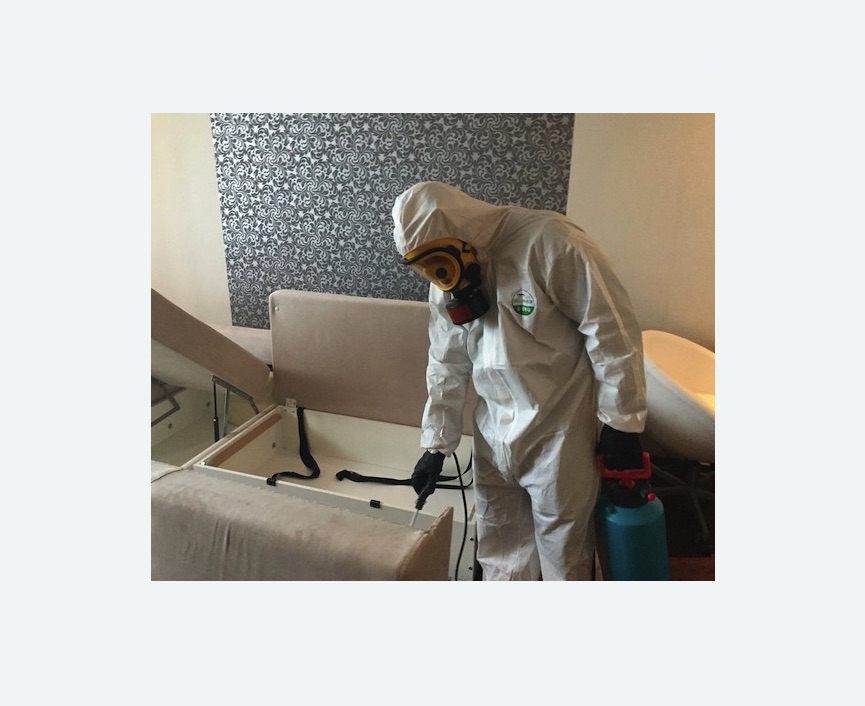 уничтожение клопов в квартире в Павловске