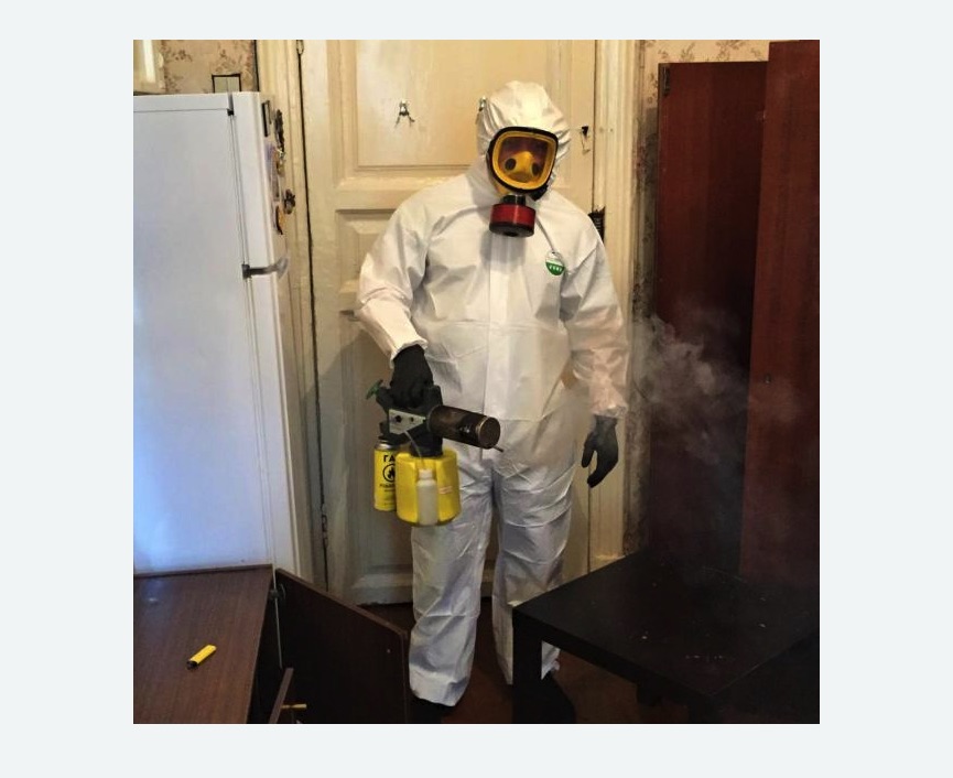 уничтожение муравьев в квартире уничтожение муравьев в квартире в Павловске